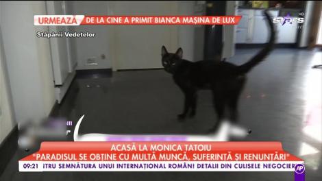 Monica Tatoiu, amenințată de soț că o părăsește: ”A spus că dacă mai aduc un animal, pleacă de acasă”