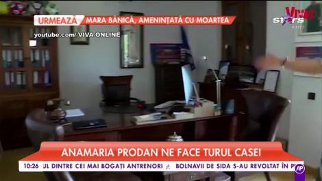 Vila de lux a Anamariei Prodan