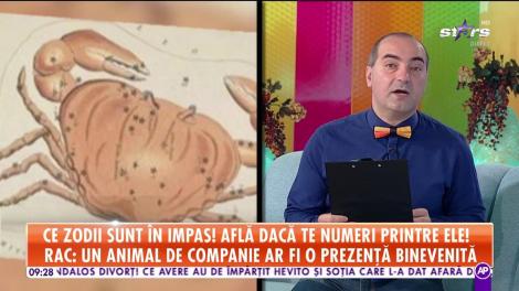 Horoscopul Zilei, 14 octombrie 2018.Berbec: Vă urmărește un proiect! Primiți un sprijin!