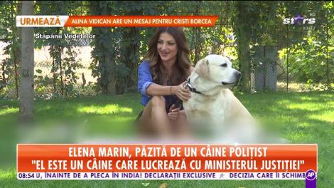 Asistena lui Morar, păzită de un câine poliţist