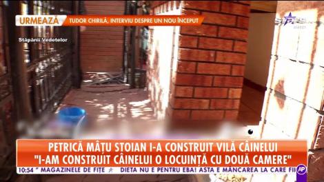 Petrică Maţu Stoian i-a construit vilă câinelui: „Lord a fost adus din Elveția”