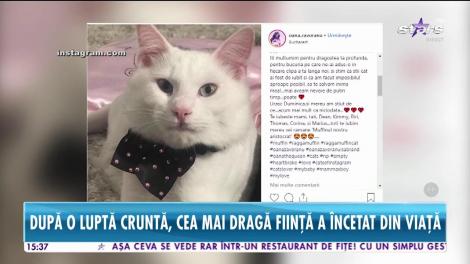 Durere fără margini pentru Oana Zăvoranu! Una dintre cele mai dragi fiinţe din viața ei a murit
