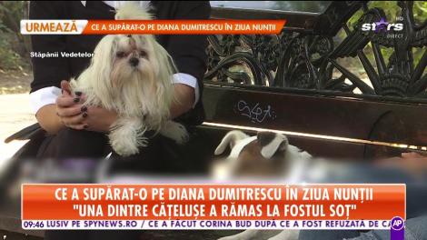 Ce a supărat-o pe Diana Dumitrescu în ziua nunții: "Cei de la hotel nu l-au primit și pe Aki, cățelul meu, la ceremonie"