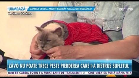 Oana Zăvoranu nu poate trece peste pierderea motanului Marty: ”Nu este zi în care să nu mă gândesc la el”