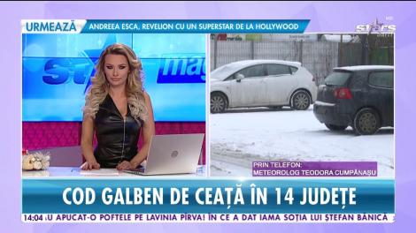 Meteorologii anunță cod galben de ceață în 14 județe