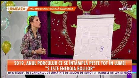 2019, Anul Porcului în zodiacul chinezesc! Ce se întâmplă peste tot în lume!