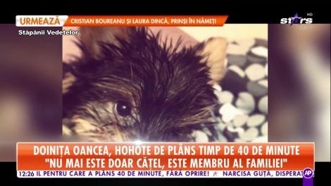 Doiniţa Oancea, hohote de plâns timp de 40 de minute