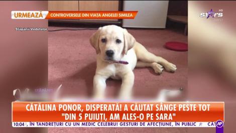 Cătălina Ponor, disperată! A căutat sânge peste tot