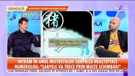 Intrăm în anul Mistrețului! Numerologul Nelu Vicleanu: "Dragonul beneficiază de mult succes în afaceri"