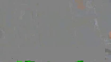 Bogătașul din Tel Aviv care se vrea crai în București a deschis ușa "palatului"