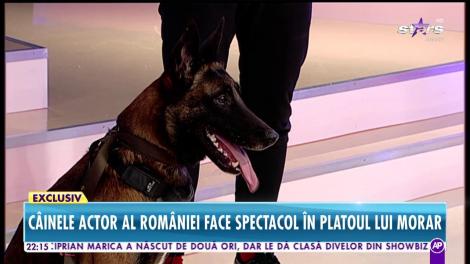 Câinele actor al României, spectacol în platoul lui Morar