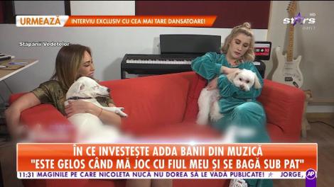 În ce investește Adda banii din muzică: „Îmi doream foarte mult un bichon”