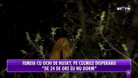 Lena e în continuare în culmea disperării! De două zile îşi caută pisica!