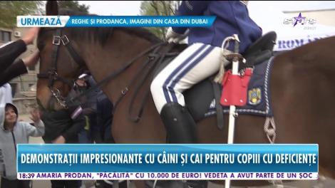 Jandarmeria Română aniversează 169 de ani! Jandarmii au făcut demonstrații impresionante cu câini și cai pentru copiii cu deficiențe