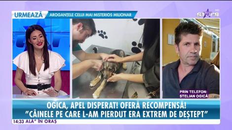 Ogică, apel dispaerat! Recompensa ajunge 1000 de euro!