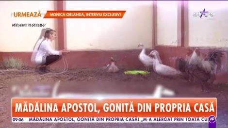 Mădălina Apostol, gonită din propria casă. Cine a vrut să-i facă rău vedetei