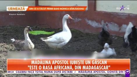 Mădălina Apostol, interviu exclusiv chiar la ea acasă: M-am atașat de gâscan. Este foarte deștept