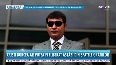 Cristi Borcea ar putea fi eliberat condiţionat