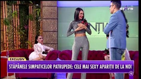 Agenția Vip. O competiţie pe cinste cu cei mai frumoşi şi talentaţi câini din showbiz
