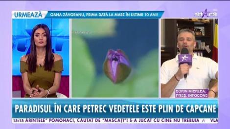 Star Magazin. Vacanțele de vis se pot transforma în țepe de coșmar. Paradisurile unde petrec milionarii sunt pline de capcane