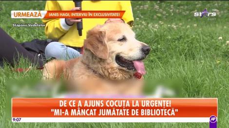 De ce a ajuns Cocuța la urgențe: A trebuit să-l ducem la spital