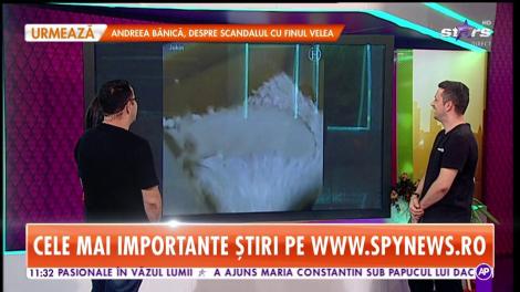 Star Matinal. Topul clipurilor virale ale zilei de pe internet