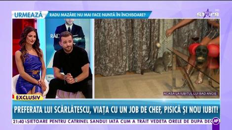 Imagini din cuibuşorul de nebunii al lui Bad Angie