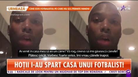 Star Matinal. Hoţii i-au spart casa lui Sturridge şi i-au furat câinele