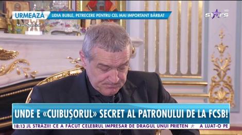 Star News. Gigi Becali îşi mai construiește un palat