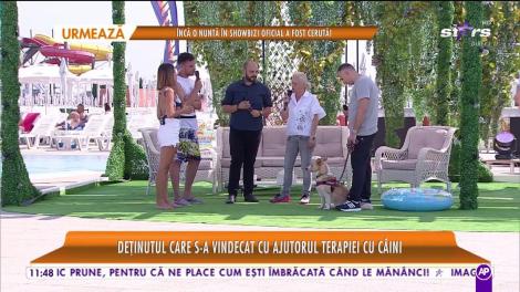 Terapia cu câini pentru deţinuţi! Un nou program naţional!