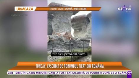Tuncay a dat ţinuturile exotice pe muntele din România