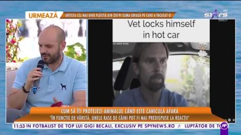 Cum îți protejezi animalul când este caniculă afară