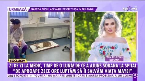 Agenția Vip. Zi de zi la medic, timp de o lună! De ce a ajuns Sorana Darclee la spital