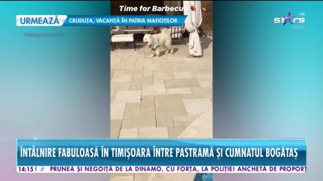 Legăturile din familia Pastramă au ieșit la iveală!