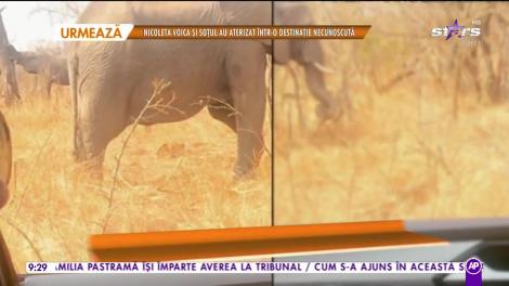 Mara Banică, vacanţă în Africa, alături de iubitul secret!