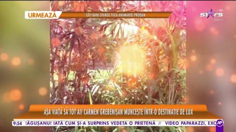 Star Matinal Așa viață să tot ai! Carmen Grebenişan muncește într-o destinație de lux