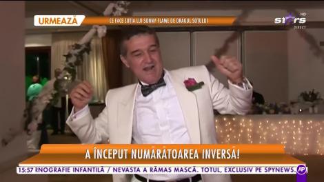 Star la mare fitză. Gigi Becali numără zilele până la nunta fiicei sale. Artiștii vor face spectacol pe zeci de mii de euro