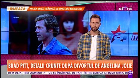 Star Matinal. Brad Pitt şi-a anunţat retragerea din lumea cinematografiei