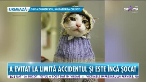 Star News. Petre Geambaşu, la un pas de tragedie. Era să dea cu mașina peste un copil