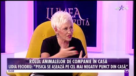 Lumea Nevăzută. Cum ne protejăm casa de energiile negative