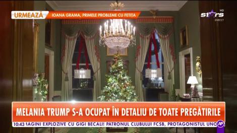 Star Matinal. Casa Albă a îmbrăcat haine de sărbătoare. Președintele american a comandat un brad uriaș