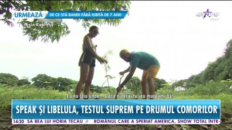 Star News. Ce i-a făcut Speak Ștefaniei în Asia Express. De la stres, a comis-o grav în fața iubitei lui