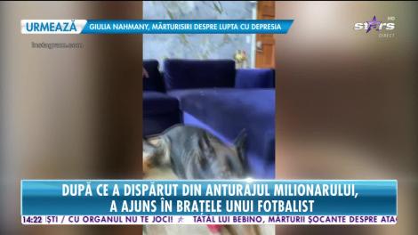 Star News. Ce sacrificii a făcut românca care l-a înnebunit pe excentricul Dan Bilzerian