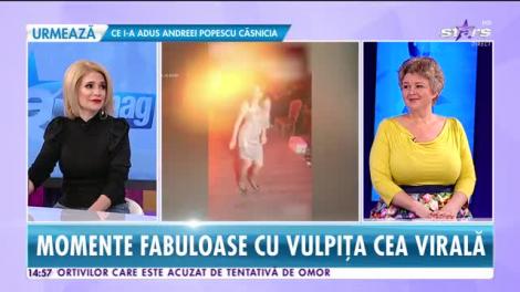 Star News. Momente fabuloase cu Vulpița cea virală! Cum a ajuns să o știe milioane de oameni în câteva săptămâni