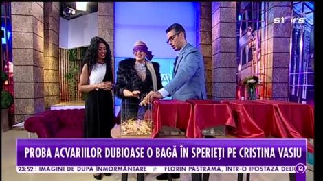 Agenția VIP. Cristina Vasiu este pusă la grea încercare. Artista îşi învinge cea mai mare teamă