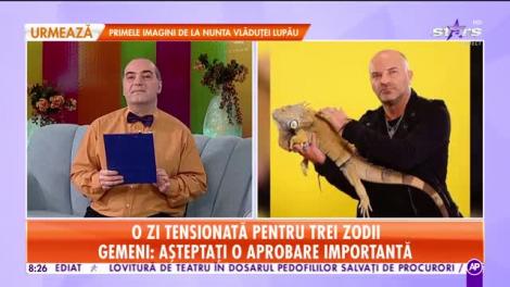 Star Matinal - Horoscopul zilei, 13 februarie 2020. O zi tensionată pentru trei zodii