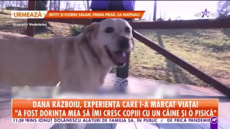 Dana Războiu, experiența care i-a marcat viața