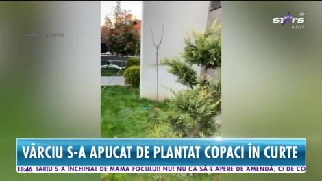 Liviu Vârciu s-a apucat de grădinărit