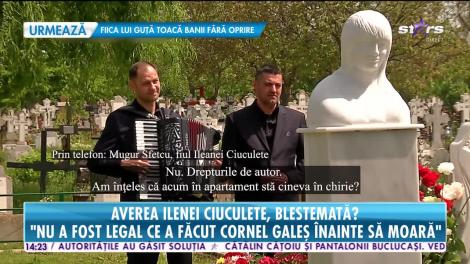Averea Ilenei Ciuculete pare a fi blestemată! Băieţii artistei nu pot intra în posesia moștenirii