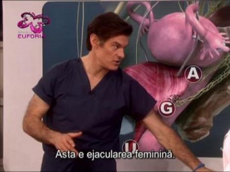 Punctul G, punctul A şi punctul U